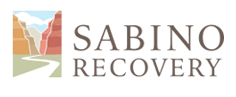 SEO Agency clients rehab